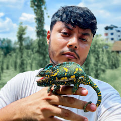 ornof & pets