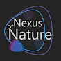 Nexus of Nature logo