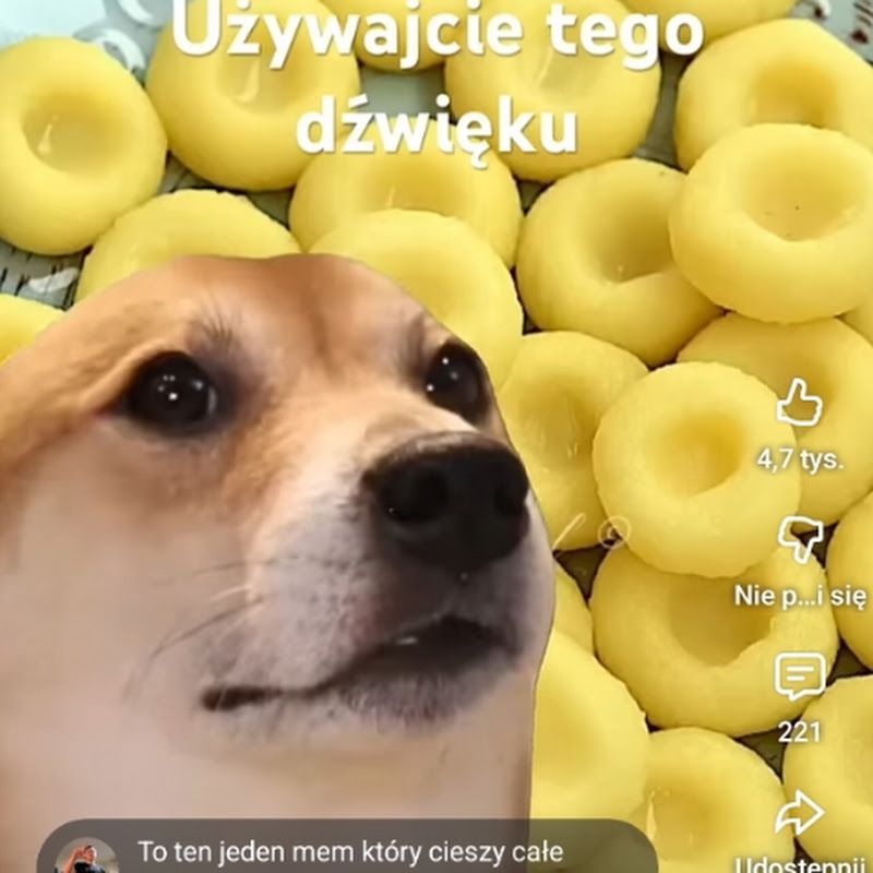 MIKI_ AMERYKI