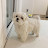 @user-fb4xi6mw8y