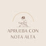 R-gsBW_88cA-channel-avatar-Aprueba con Nota Alta
