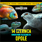 Witold Plucik