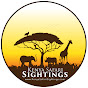 Kenya Safari Sightings logo