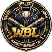 Body Balance Baseball