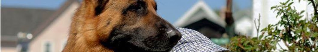 Delta Canine Services رمز قناة اليوتيوب