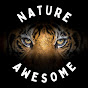 Awesome Nature  Avatar