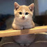 sPkMIEwK2QQ-channel-avatar-Prisoner