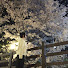 V63UJsBi-M8-channel-avatar-서여언