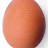 @Egg-Egg847