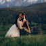 OtF8WKIHYc0-channel-avatar-The Wedding Zone