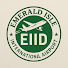 NTgs58YqaK4-channel-avatar-Emerald Aviation 