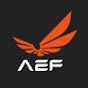 Armenian Esports Federation logo