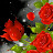 @smartlibra7205's avatar