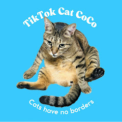 ココちゃんねる。