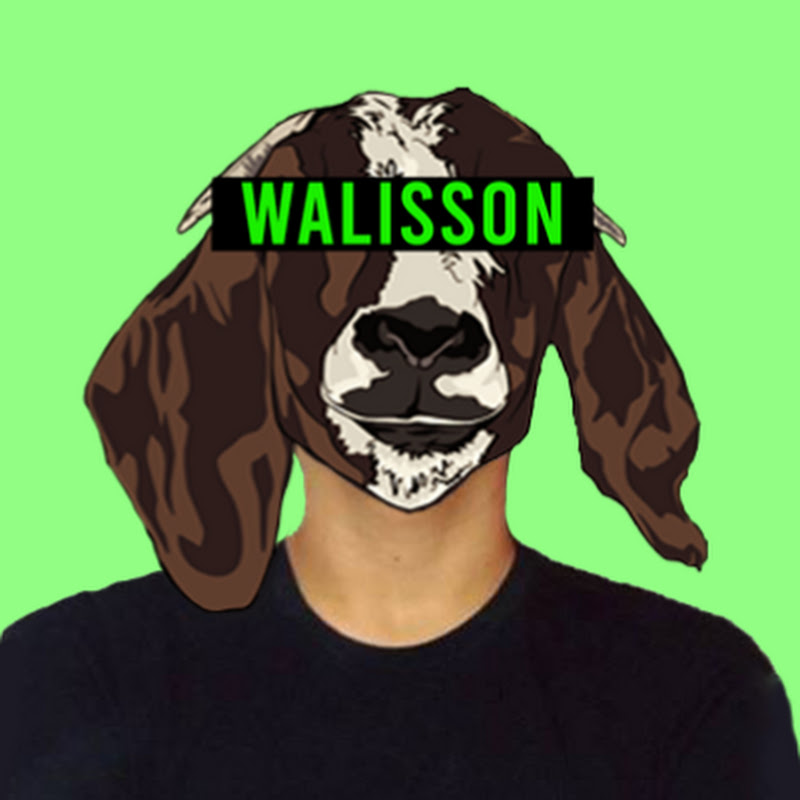 WalissonBodao