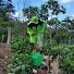2BArTY7PM_g-channel-avatar-Great Farmerman adventure ja 