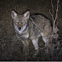 Night Crew Image Thumbnail