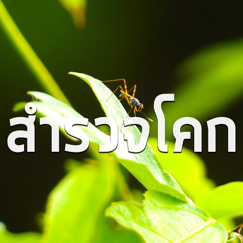 สารคดีสํารวจโคก