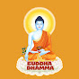 Understanding Buddha's Teachings