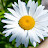 @chaeir2ktvfjdtsdgh