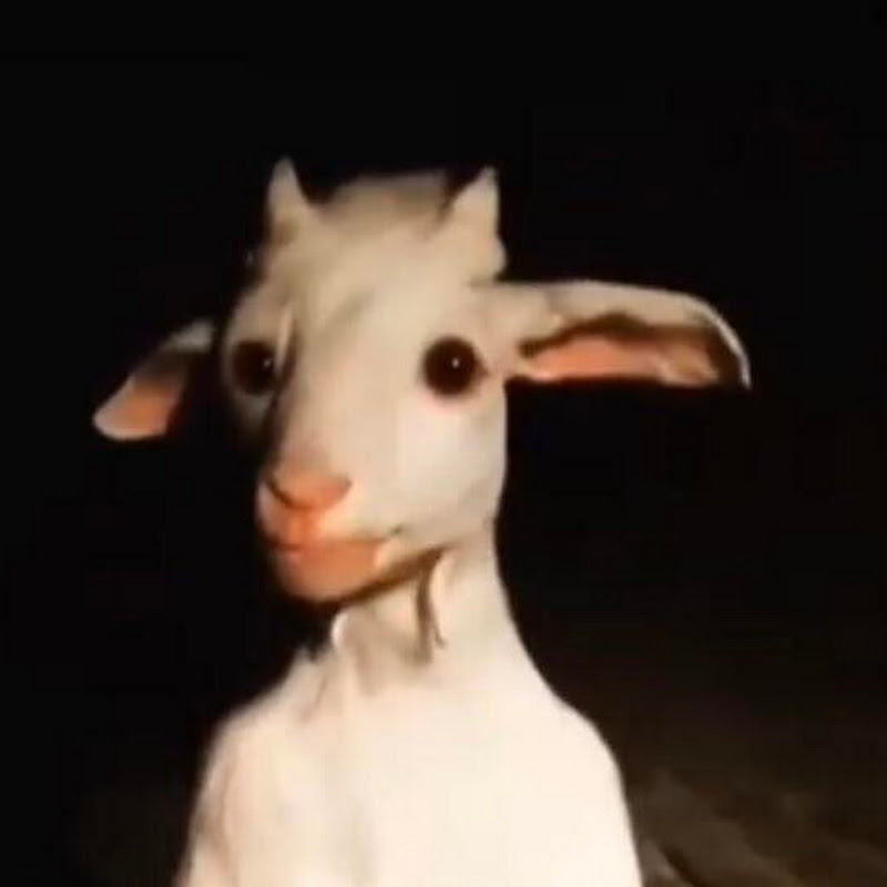 nuuneyraegon