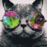 xQ7jOvRXFgk-channel-avatar-Not_oozeyboi