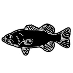 BigBite Bassin