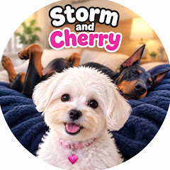 Storm And Cherry