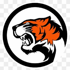 RNP GAMER avatar