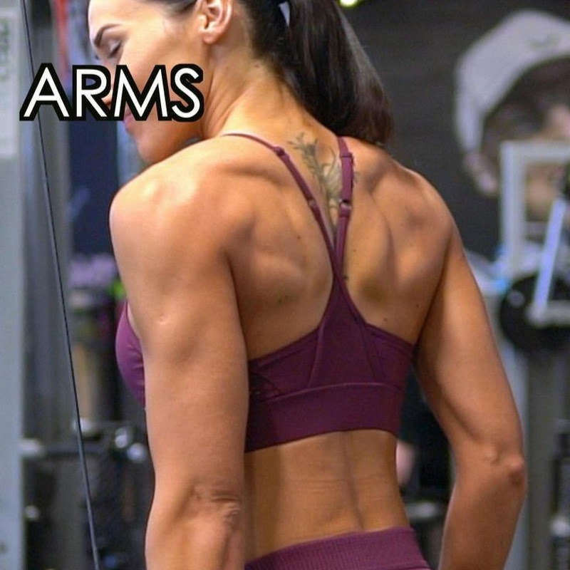 The Fitness World