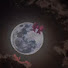 hY8iKSvTWJc-channel-avatar-عائله دنوي لطيفه 🌹💕