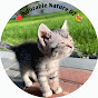 Adorable Nature 07 logo