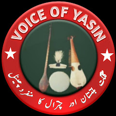 Voice Of Yasin Avatar