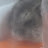 @멜로띠