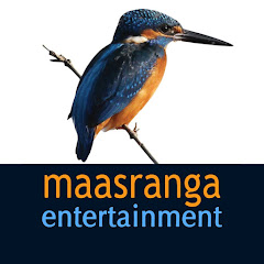 Maasranga Entertainment channel logo