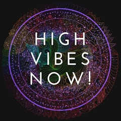 High Vibes Now! net worth