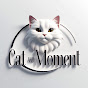 Cute Cat and Baby Moments logo