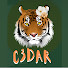 h31S3RCius0-channel-avatar-C3DAR