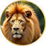 jyor3QbZkAI-channel-avatar-Reflexões-WNG