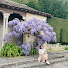 dPOwSxONL1U-channel-avatar-Lar, Viajar, Jardinar