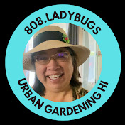808.ladybugs Urban Gardening HI