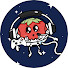 v45fr4_PUw8-channel-avatar-Space Tomato Plays