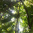 @katdaddy469 Avatar