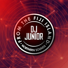 DJ Junior net worth