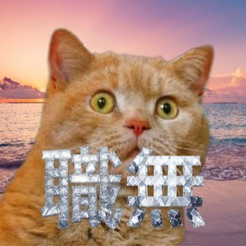 【猫ミーム】むんむん無職チャンネル【ギャンブル依存症】