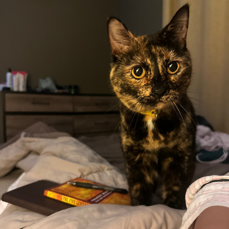 bagel & toast 111