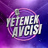 VDIJteiTt2o-channel-avatar-Yetenek Avcısı