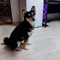 트로트가좋아좋아