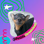 PetLife Chronicles logo