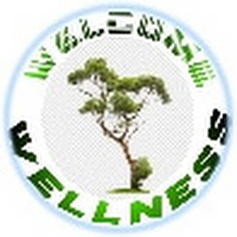 Welcome   Wellness